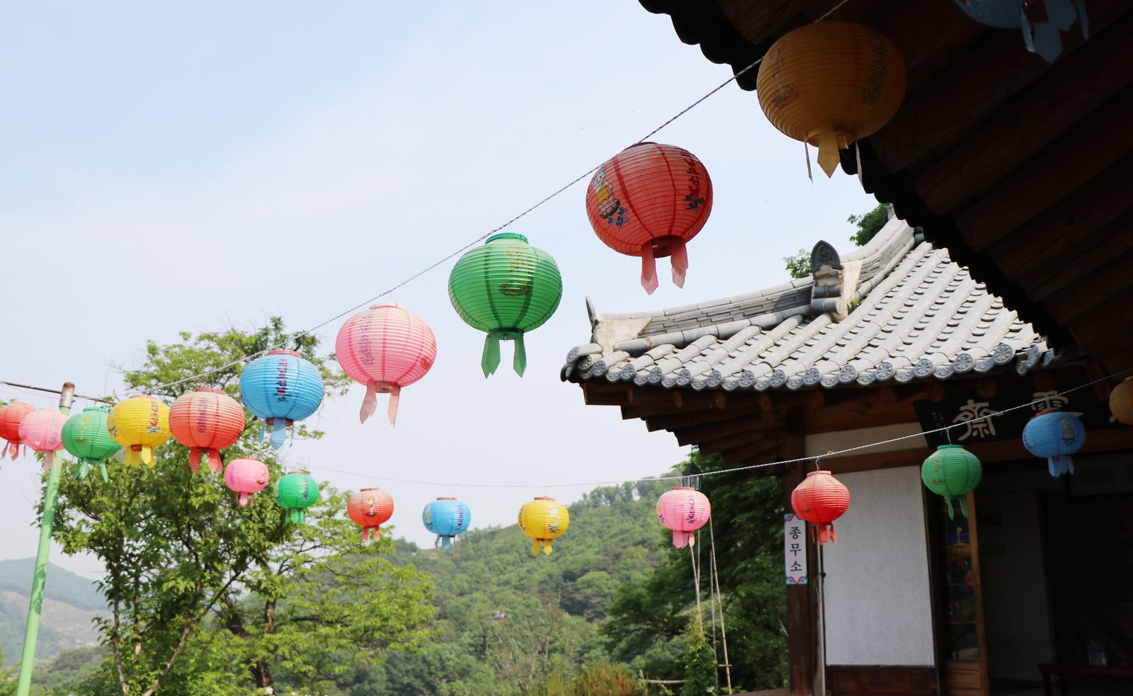 연등이 걸린 자은사 전경
